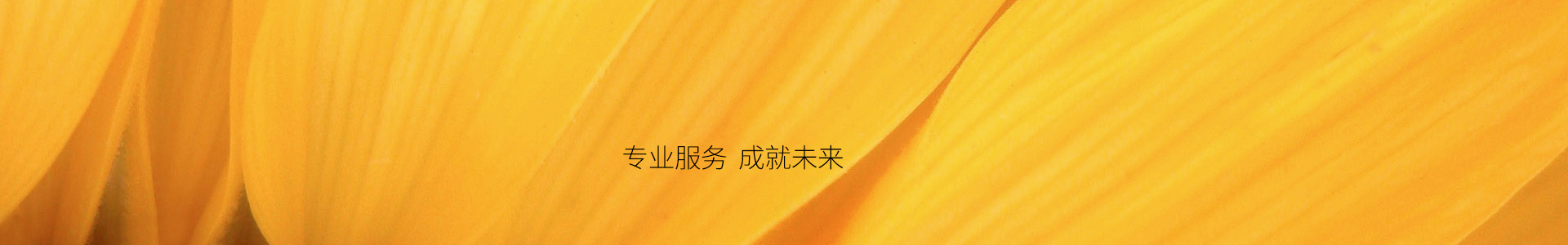 比特派官网